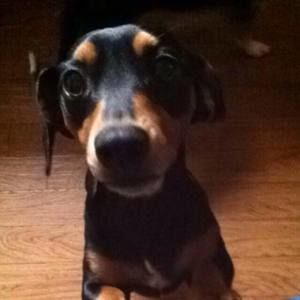 Meet your Posher, Bobby